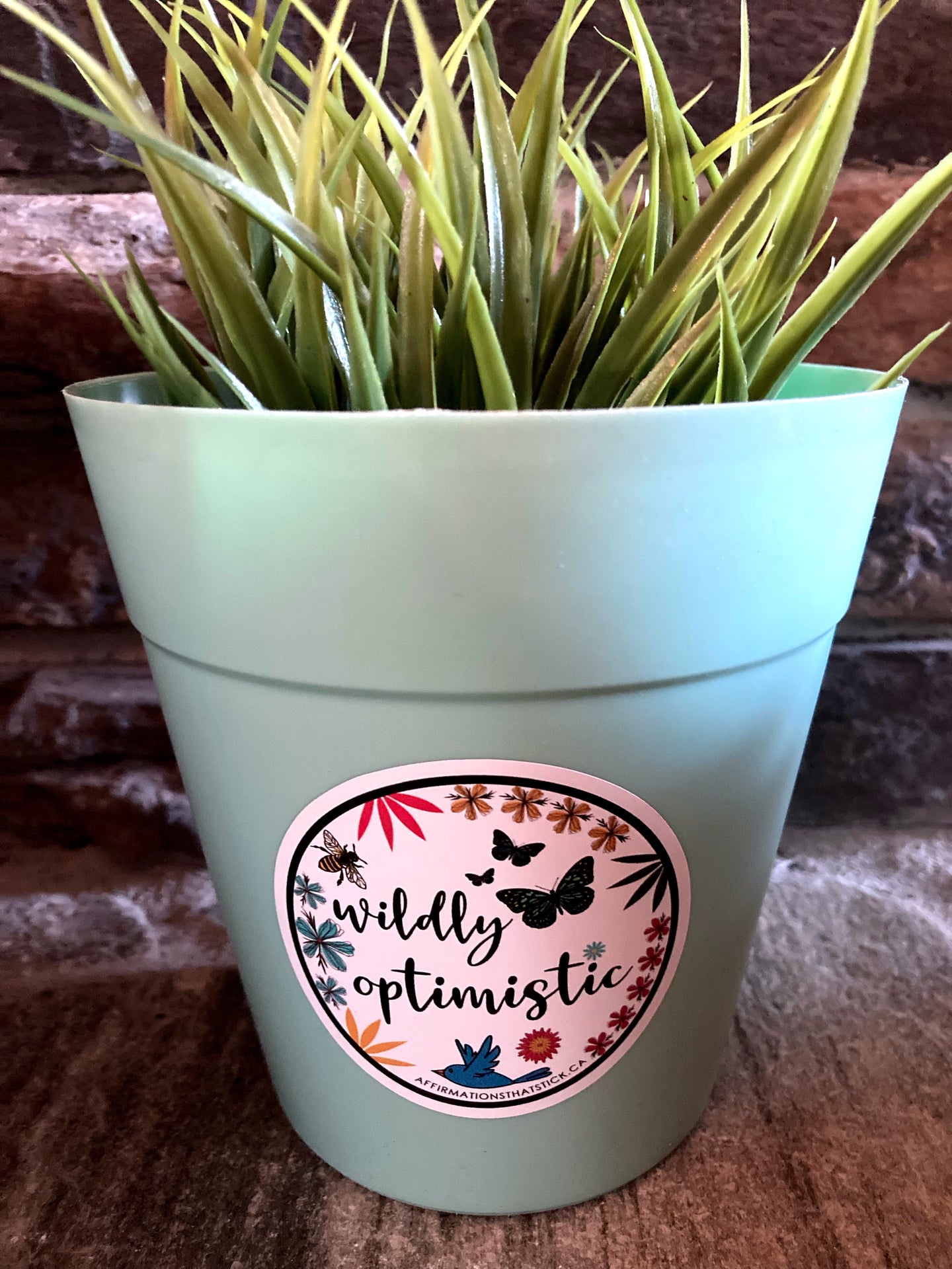 Wildly Opimistic Affirmation Sticker-Affirmations That Stick CA